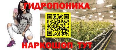 дмт Нарткала