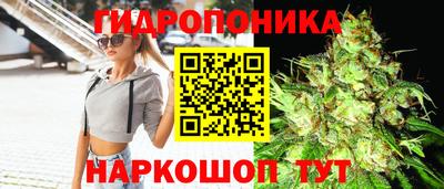 дмт Нарткала