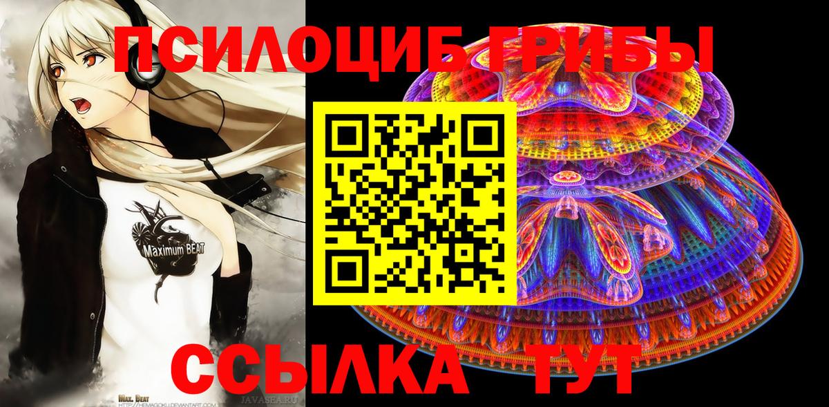 Псилоцибиновые грибы Psilocybe  Вход с VPN  Новодвинск 